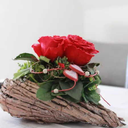 Venezia Apartamento *